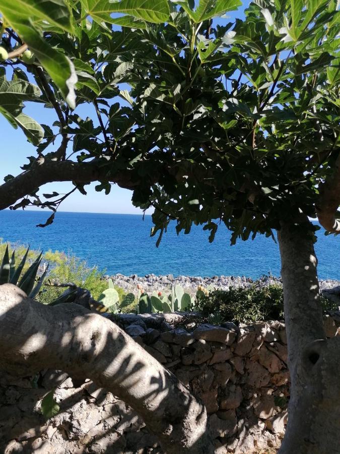 Villa Marigiosa Salento มาริตติมา ภายนอก รูปภาพ