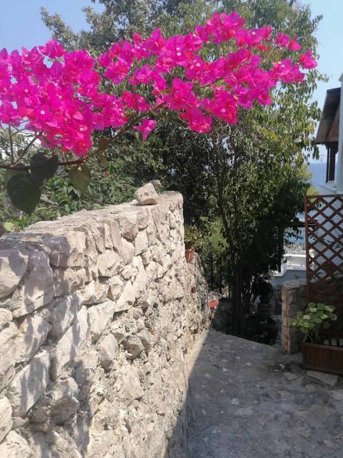 Villa Marigiosa Salento มาริตติมา ภายนอก รูปภาพ